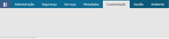 Metadados TOTVS RM: Exemplo da aba Customização